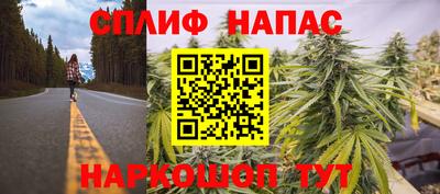 a pvp Заводоуковск